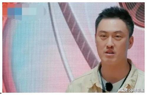 吃瓜热线娱乐圈,揭秘“吃瓜热线”背后的八卦真相